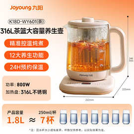 九.阳18-601养生壶煮茶器800大功率电水壶1.8花茶壶烧水壶