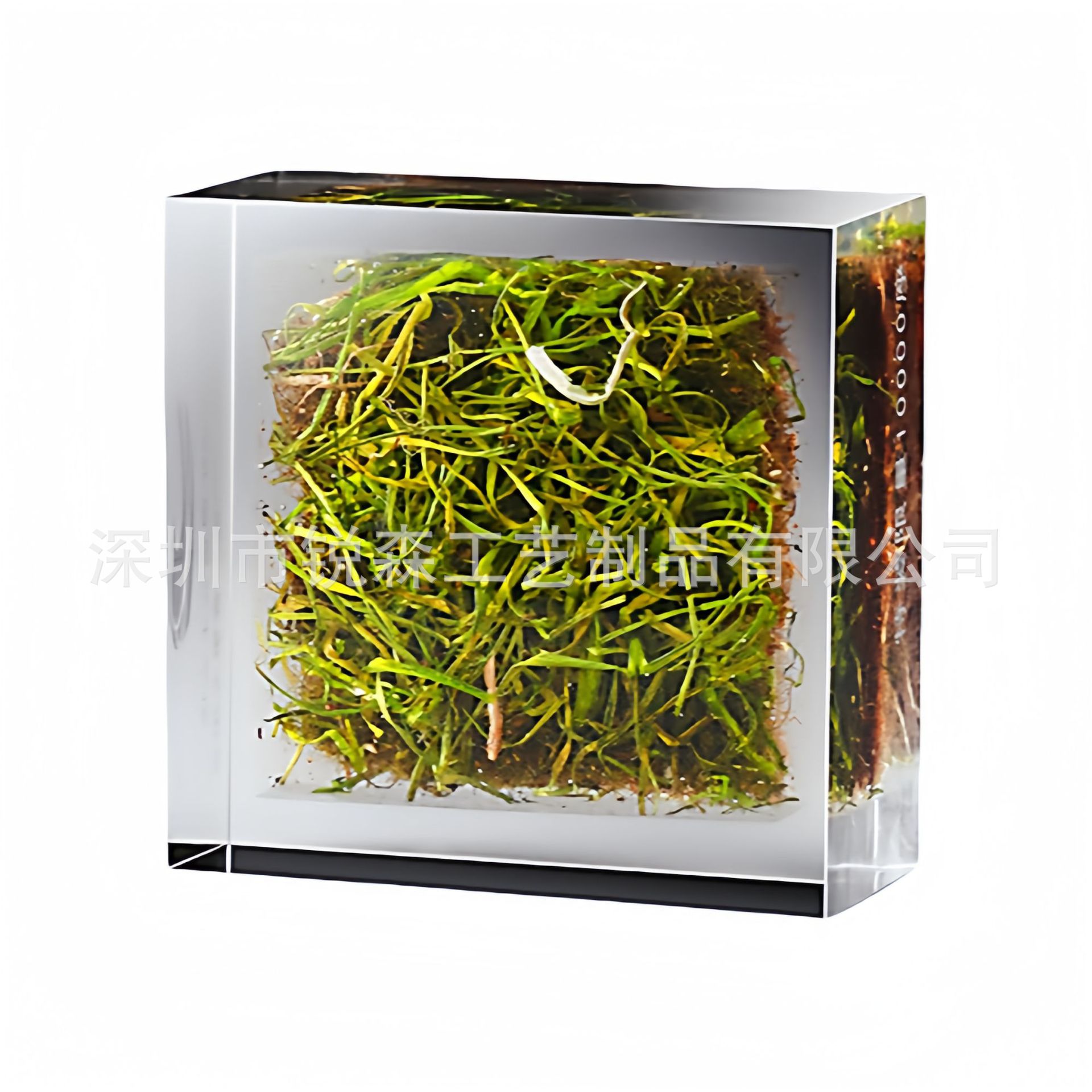 水晶胶浇筑内埋新鲜植物工艺品 树脂内嵌草坪礼品摆件 亚克力制品