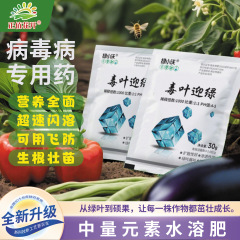 毒叶迎绿病毒病套装专业西红柿辣椒黄瓜葡萄卷叶黄叶落叶小叶花叶