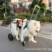 �c��Ȯ����Ȯ݆���������ఢ��˹�ӽ�ë��݆��݆�Κ�����܇����Ȯ