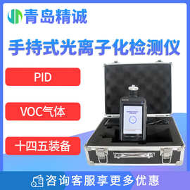 手持式VOC挥发性有机物检测仪 十四五生态装备PID光离子化检测仪