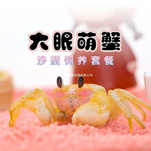 ������ɳз���w�ײ͡���B���b����з���A����з���]���������Ȍ�