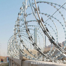 ���u304���P䓵�Ƭ���K �̽z�L�\�������x�W ������͵�����F�z�W