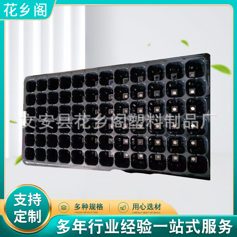 平底芽苗菜育苗盘 黑色pet家庭园艺蔬菜水果多肉穴盘育苗盘育苗盘