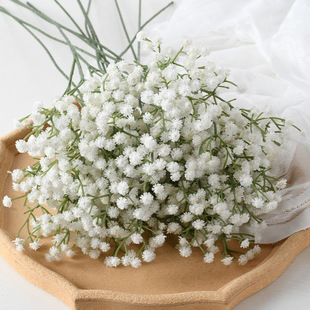 ����M�����ָ�ܛ�z�M���Ƿ��滨��Y�b��������Y�ò����쾰�ٻ�