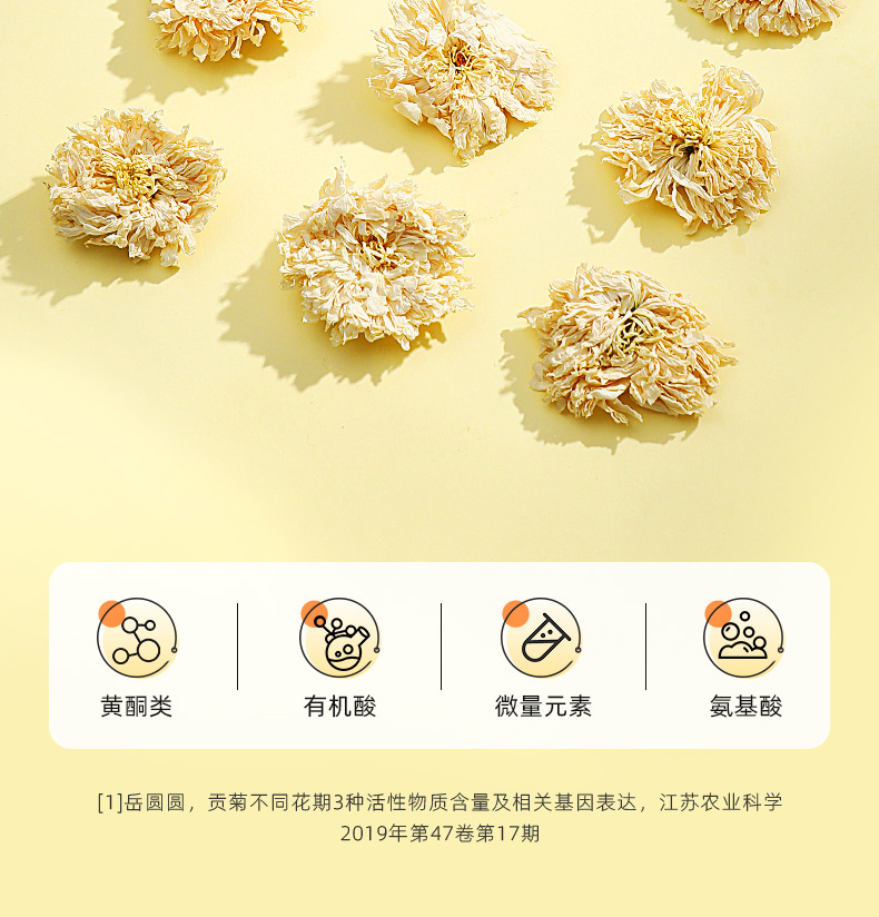 Huangshan Gongju White Chrysanthemum Flower Tea 25g Jar Dried Chrysanthemum for Daily Herbal Tea quality and texture