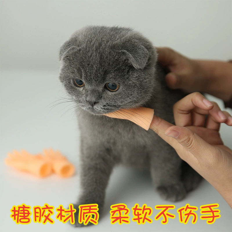 Забавная модель рук, массажер, перчатки, питомец, кошка