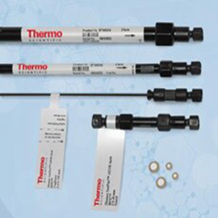 302608赛默飞大孔树脂固定相CS20阳离子分析色谱柱thermo进口耗材