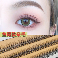 �������~β�ٽ�ë�δ؆������~��ë����ֶ�ʽ�޽��۽�ë�����w�L