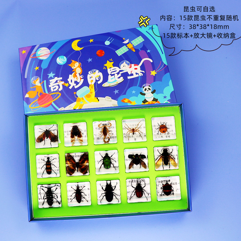 곤충 15종 + 선물 상자 + 선물 가방 옵션