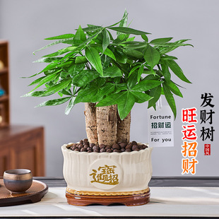 �lؔ������k�����҃Ȕ[�������Ϙ����B���ԃ����՚�ǰ̨��̨�Gֲ