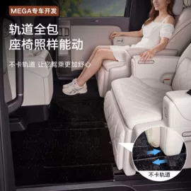 头枕;腰靠;其他汽车内饰
