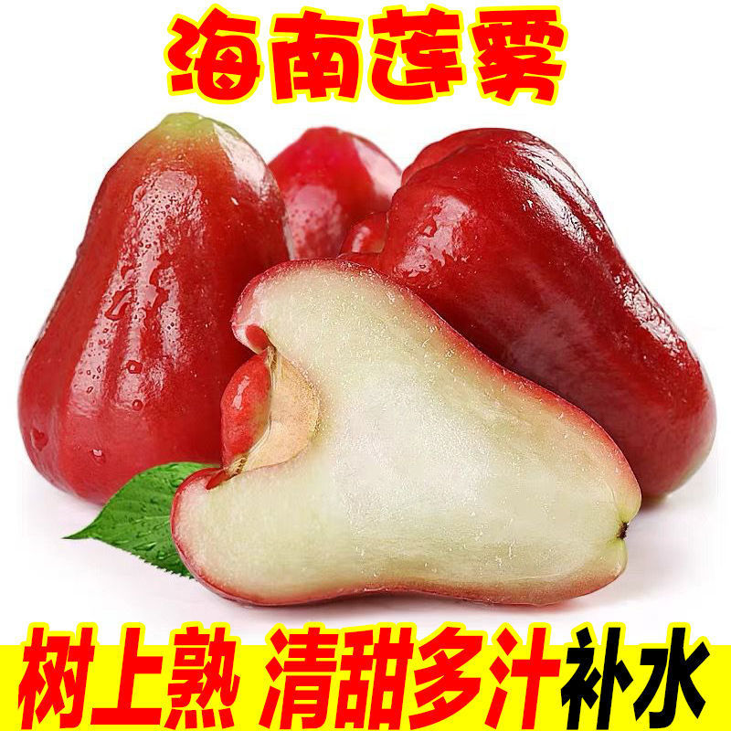 Wax apple Hainan Sanya Season fresh Tropical fruit Full container wholesale One piece wholesale