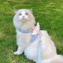 猫咪宠物猫牵引绳挣脱外出狗狗专用背带背心撞色绳子舒适栓猫链子