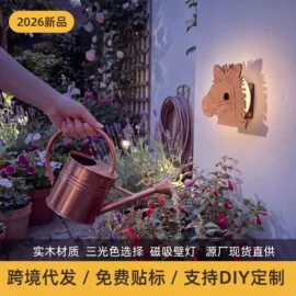 室内壁灯;小夜灯;化妆镜