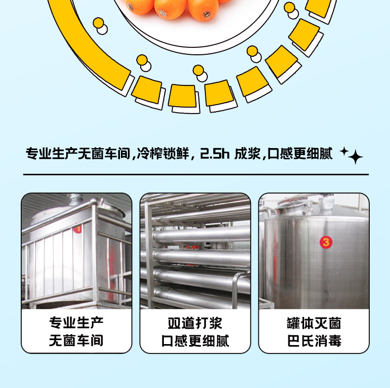 Sea Buckthorn Juice Puree 1.8L 60 Sachets Bulk Pack Fresh Pressed Ready to Drink specifications