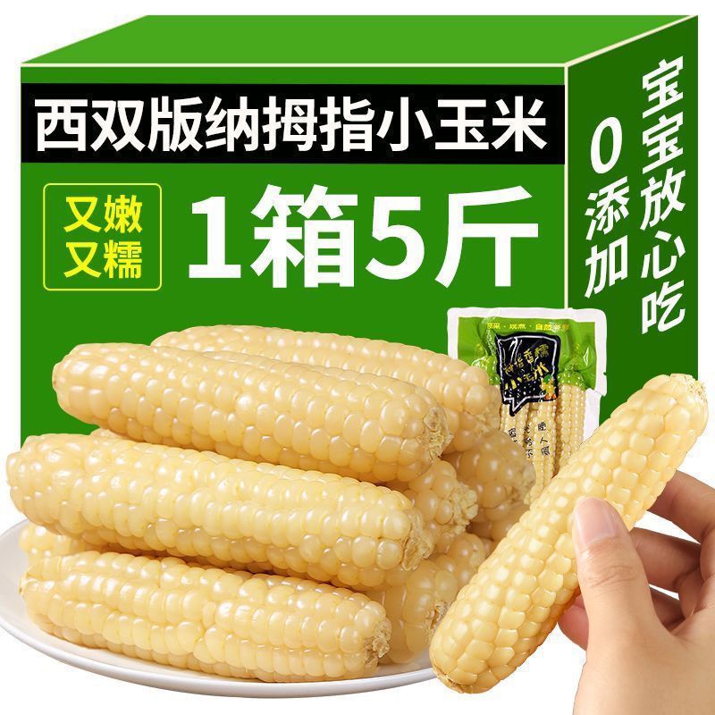 西双版纳香糯拇指小玉米手指玉米云南新鲜甜糯紫糯袖珍拇指玉米棒