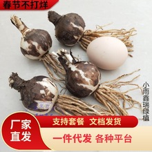 һ�����l��Ʒ����ɳ�A �˰����N������ ʯ��N�� �˰����N�� ����