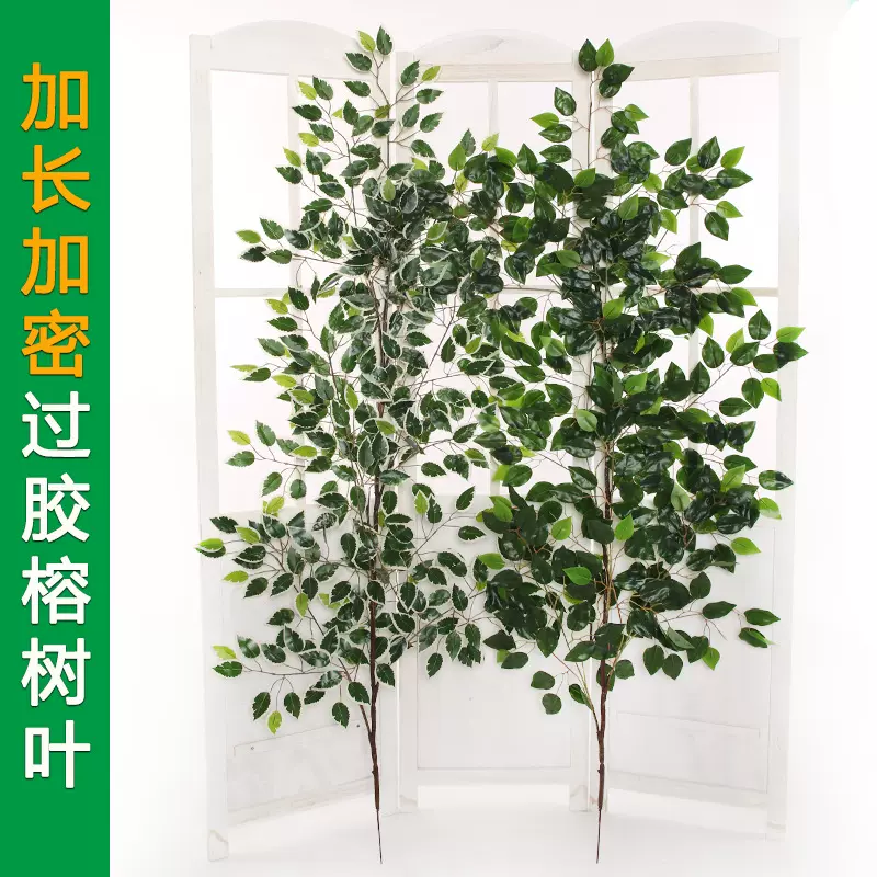 仿真榕树叶长枝加长加密大型假树植物塑料加厚过胶绿色仿真假树枝