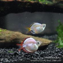 늹��������~�Ꭷ��ˮС���^�p�~���w�ݸ׌�������~���R�~�����~