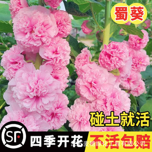 �ذ�������N��һ�ɼt�N�ѻ��ܷN���̨ͥԺ���N��