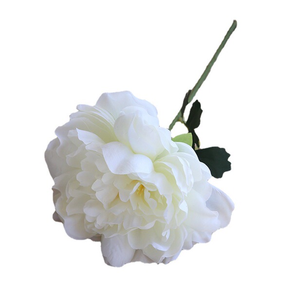 Aesthetic style 9 color small fresh diameter 15cm single French…