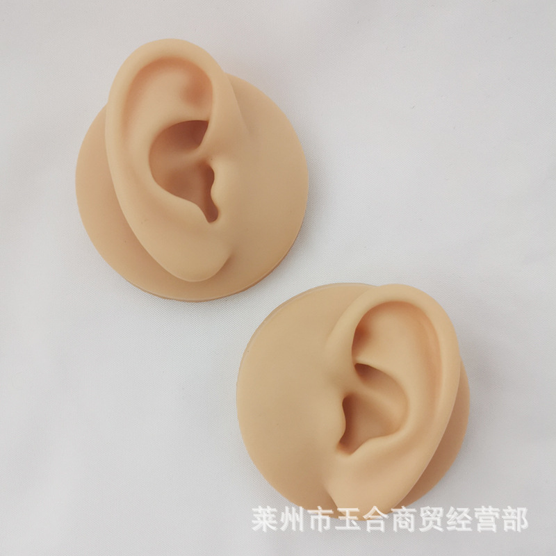 Silicone Artificial Human Ear Model Perforated Ear Point Practice Teaching Props Jewelry Earrings Earrings Display Bracket Silicone Artificial Human Ear Model Perforated Ear Point Practice Teaching Props Jewelry Earrings Earrings Display Bracket