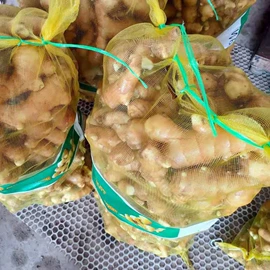 蒜;洋葱;其他农业