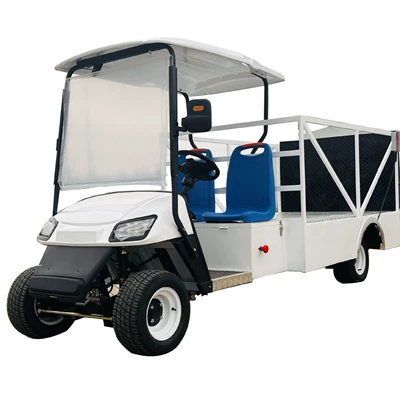 Sightseeing Vehicle 2-Seater, Elektrikli qolf avtomobilləri