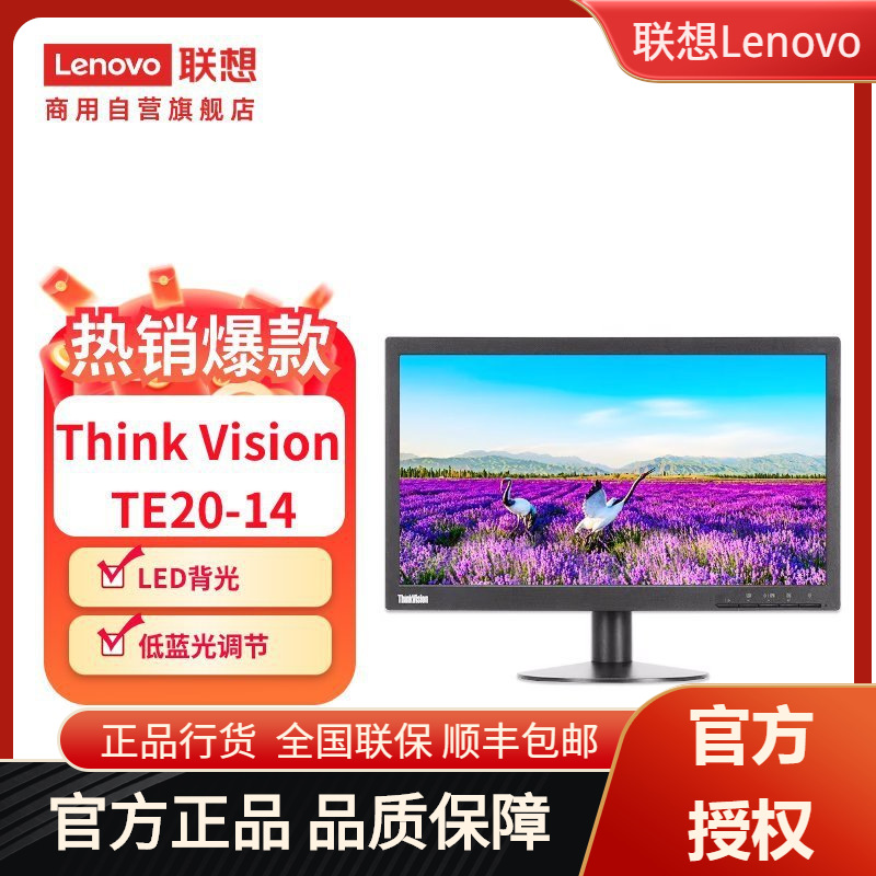 Lenovo ThinkVision TE20-14 19.5 