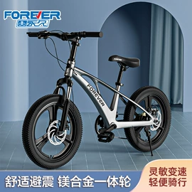 平衡车;自行车轮胎;自行车装饰