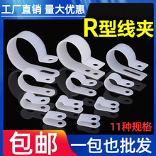 ����R�;��A�Ӻ�����Ͽ���������늾��̶��A�����Ӿ����̶�����