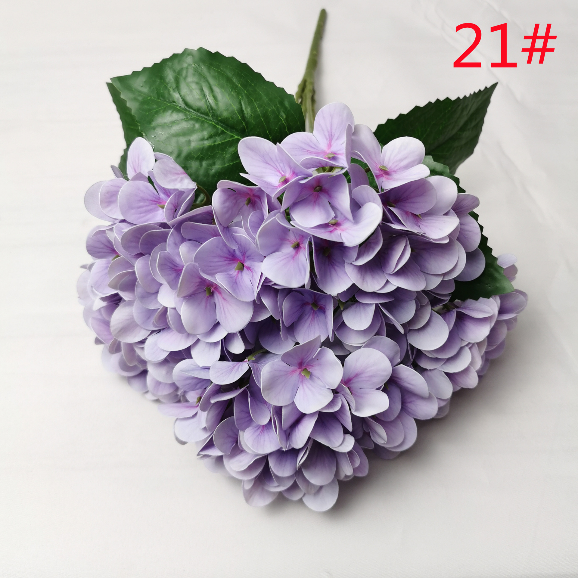 21#
