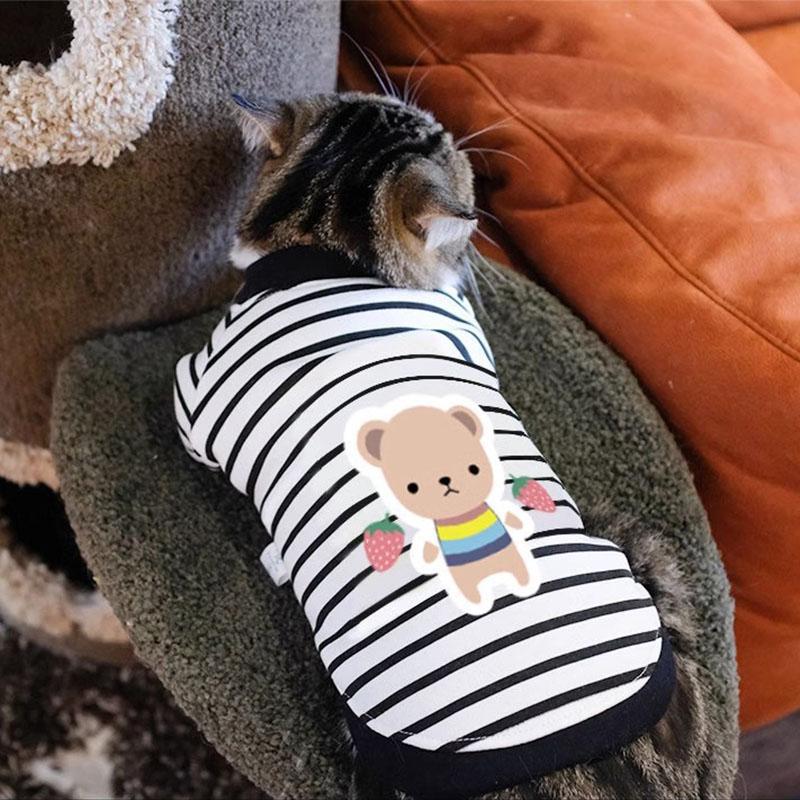 Ropa de gato invierno y otoño anti-perderrimiento de pelo gatito gato azul gato pequeño gato invierno y otoño mascota primavera y otoño camisa sudadera