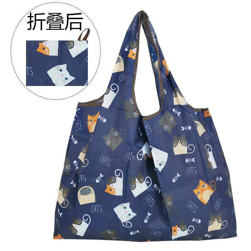 블루 쿨 고양이