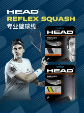 HEAD/���±����ľ�Reflexϵ�����m�Զ�ɽY���W��