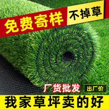 �����ƺ����؉|���ϼپGֲ�׃��@�˹���Ƥ����Gɫ�����b�̺