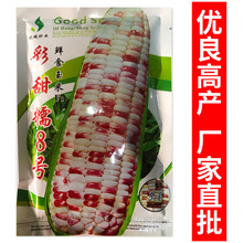 彩甜糯8號玉米種子200g雙色甜糯玉米種籽大田種植高產蔬菜種