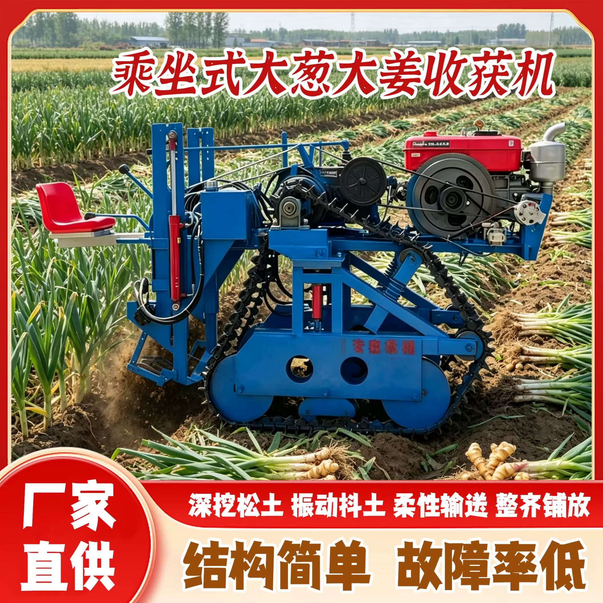 35马力大姜大葱收获机农用小型柴油大葱收获机自走式大葱收获设备