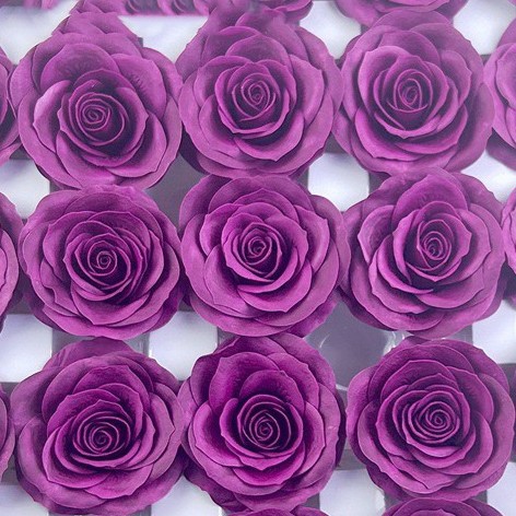 Red Purple Z-26 (25 pieces per box, single box without color mixing)