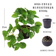 �������� �羳�O���~���l���{������辰�[�����������b�����