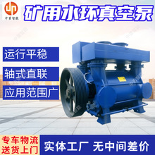 卧式水环真空泵 2BEC-400水环真空泵 煤矿井下移动式瓦斯抽放泵站
