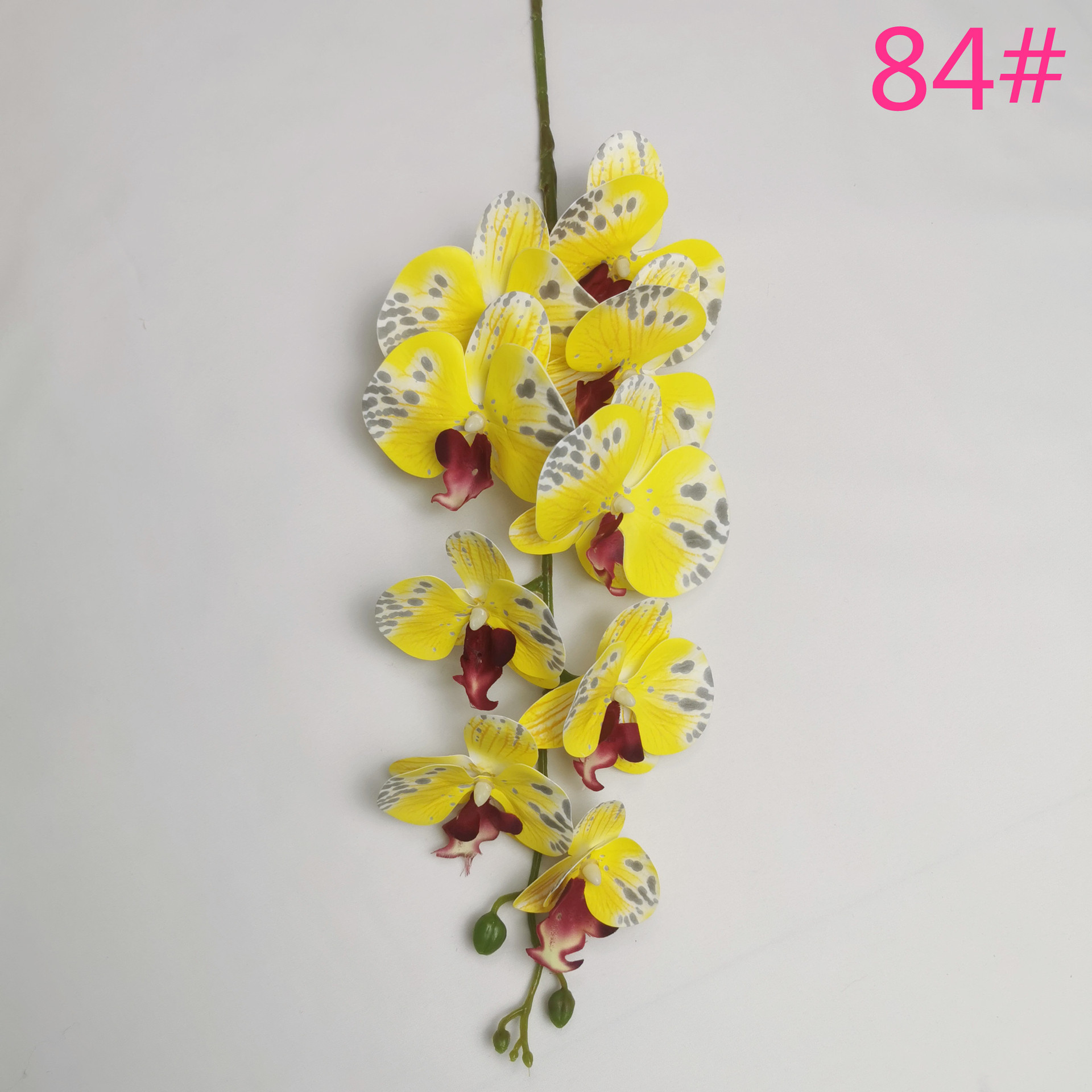 IMG_20220604_183519_副本