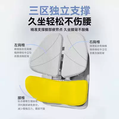 Office and Long Sitting, Car – Waist support