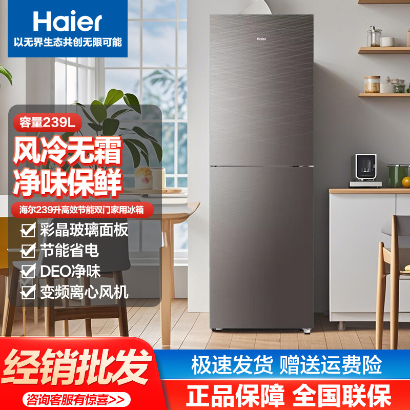 海尔（Haier）家用电冰箱 239升 两门风冷无霜冰箱小型宿舍租房