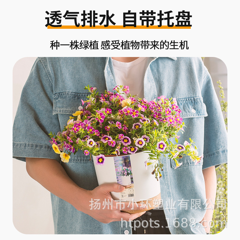 水培アンソニー怠け者植木鉢デスクトップ樹脂吸水室内ベランダデスクトップシンプル緑植虎皮蘭植木鉢|undefined