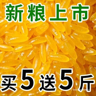 ���ږ|���S�������������S����װ�H����s�Z�خa�Sɫ�Ĵ������l