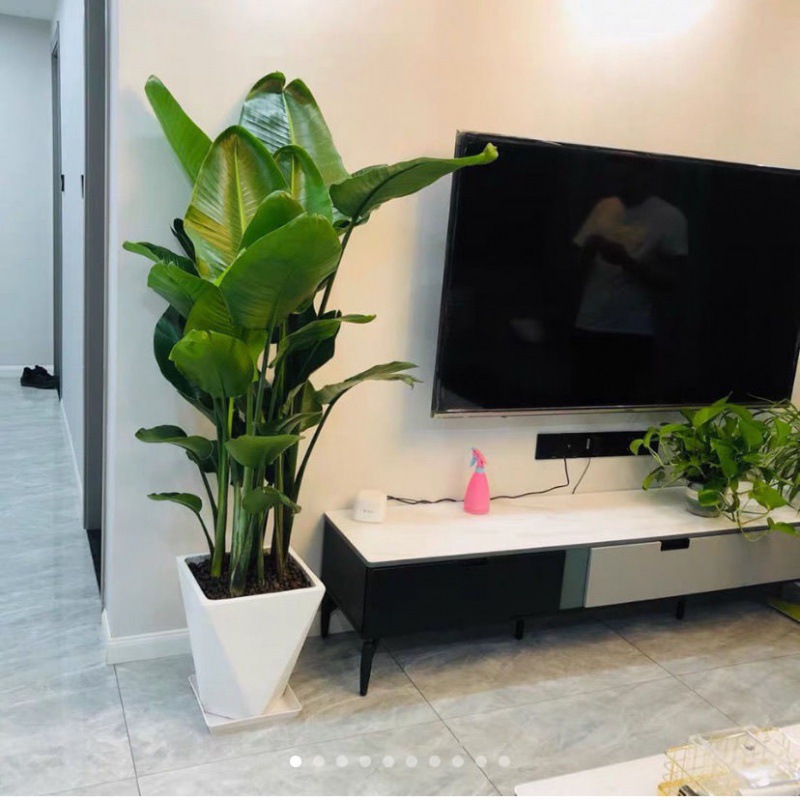 프리즘 도자기 분지