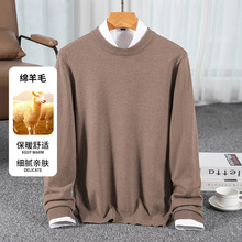 男士毛衣2025新款秋冬保暖加厚绵羊毛衫线衣圆领打底衫纯色针织衫