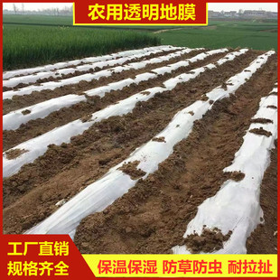 Agricultural White Cover Peanut Mulch Film Agricultural Planting Garlic Watermelon Insulation Plastic Film Ground Worker 20